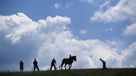 Žijí v Rumunsku. Mluví česky. Lidé z Banátu