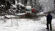 Volnou cestu nám hned v podhůří Jizerských hor zatarasil padlý strom.