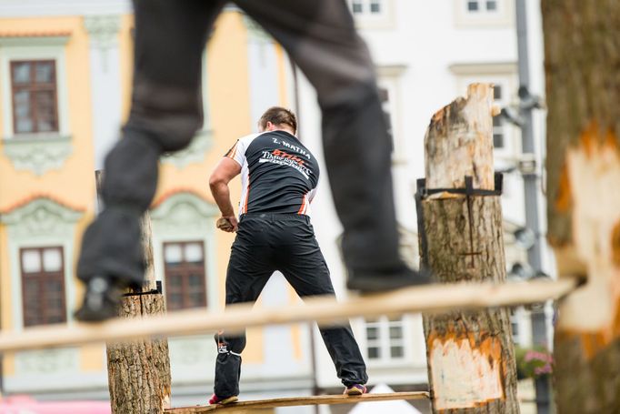 STIHL Timbersport Plzeň 2015