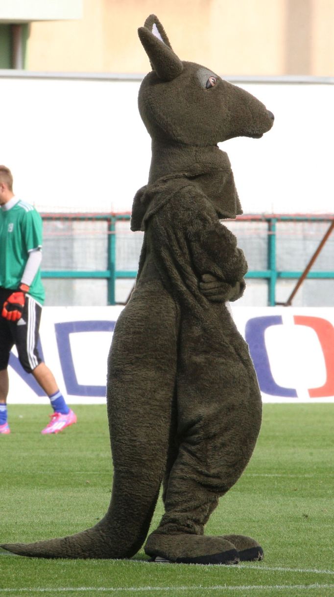 Maskot Bohemians Praha 1905