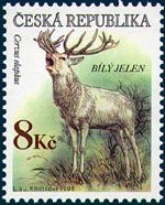 bílý jelen na známce