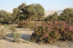 "Úmrtí kvůli vodě přibývá." V Tádžikistánu je jí dostatek, ale pitné jen málo