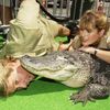 Fotogalerie / Steve Irwin / Tak vypadal ten pravý "Krokodýl Dundee". Vzpomínka na dobrodruha Steva Irwina