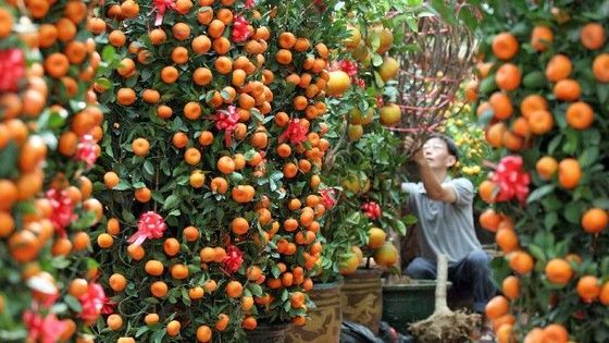 Galerie: Neděle 22.1. očima zahraničních fotografů