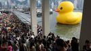 Thousands of people crowd the waterfront on the last day to see a giant duck (R), conceived by Dutch artist Florentijn Hofman, in Hong Kong on June 9, 2013. Thousands said farewell to the giant inflatable yellow rubber duck which has captivated Hong Kong for the past month, before it heads to the United States.