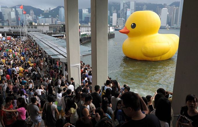 Thousands of people crowd the waterfront on the last day to see a giant duck (R), conceived by Dutch artist Florentijn Hofman, in Hong Kong on June 9, 2013. Thousands said farewell to the giant inflatable yellow rubber duck which has captivated Hong Kong for the past month, before it heads to the United States.