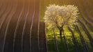 Moravské Slovácko. Ukázky z fotografické knihy Radka Severy a básnířky Ivety Gajda-Raponi