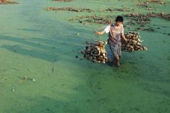 Asie na pokraji krize. Dochází pitná voda