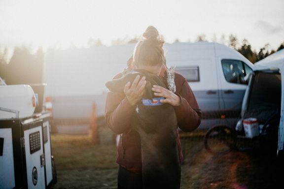 Život se psy není jen slunce a radost. Stále jsou to šelmy, které fungují jako smečka, mají své pudy a zákony. A ty mohou být někdy překvapivě drsné.