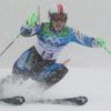 Alpské lyžování: Anja Pärsonová