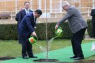 Miloš Zeman a Si Ťin-Pching zasazují strom v Lánech