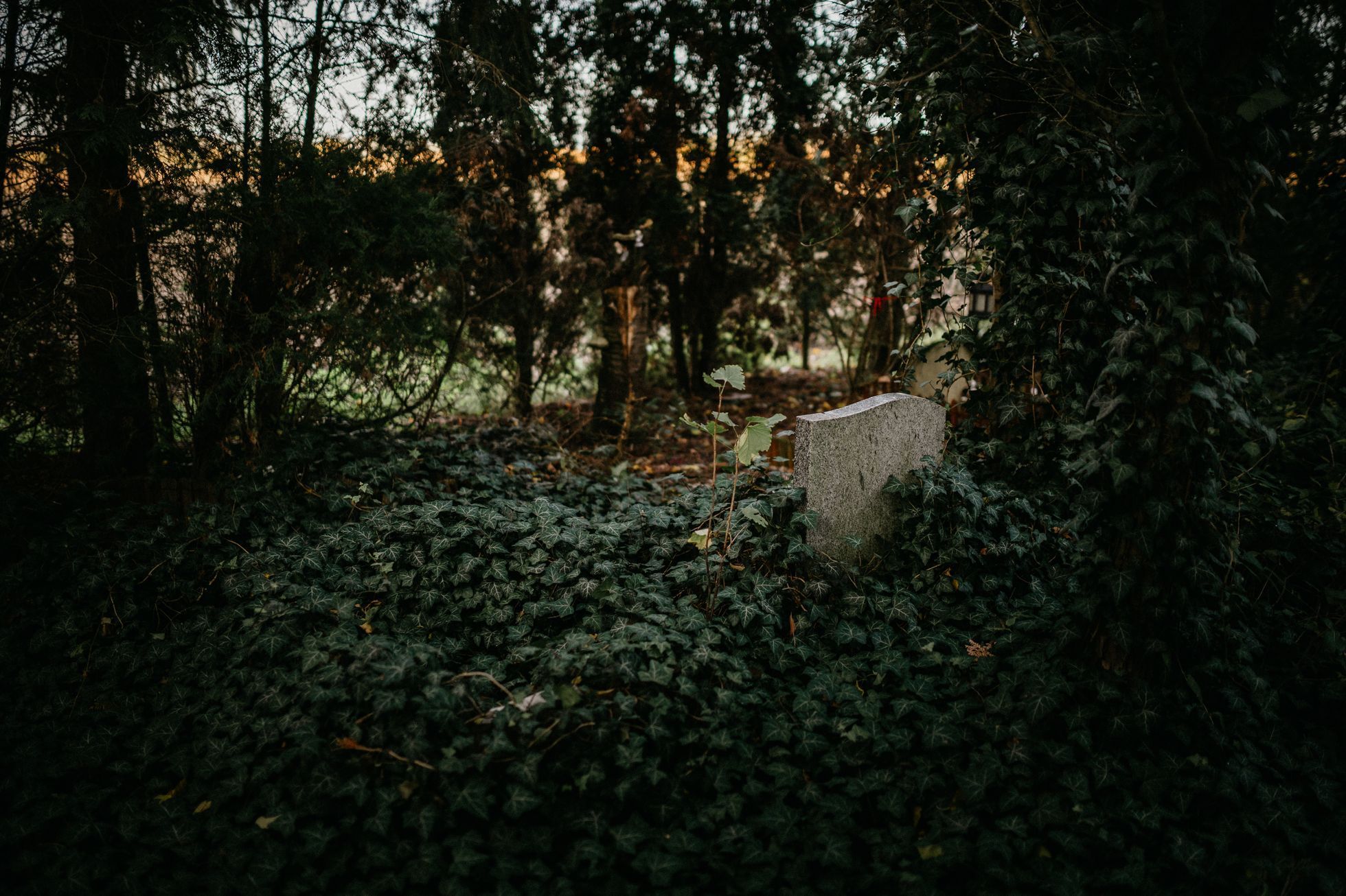 hřbitov Bohnice hřbitov bláznů