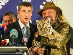 Andrej Babiš s tygrem
