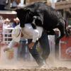 Foto: Nejkrásnější fotografie ze kanadské soutěže National Pictures of the Year