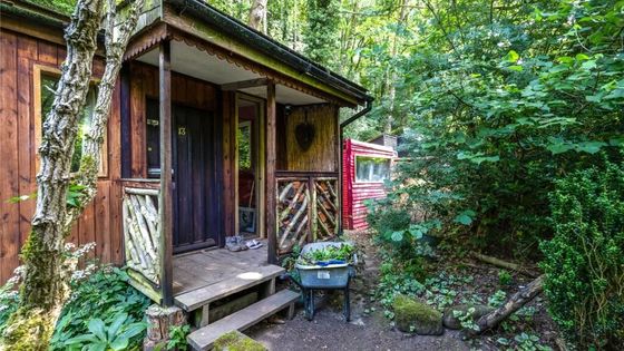 Na první pohled jde o návrat do starých časů - dokud si nevšimnete routeru a antény na střeše. I v srdci lesa tak zůstanete online - pokud chcete.