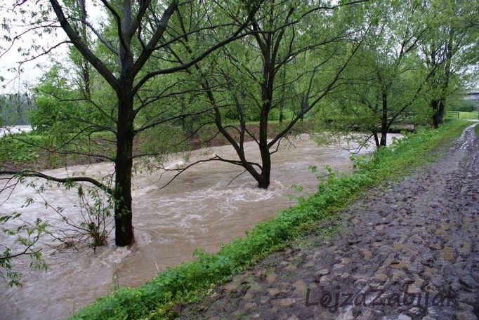 Pondělní stav potoku Ropičanka u Českého Těšína