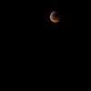 Zatmění Měsíce v ČR - Měsíc je extrémně tmavý kvůli sopečnému prachu v atmosféře