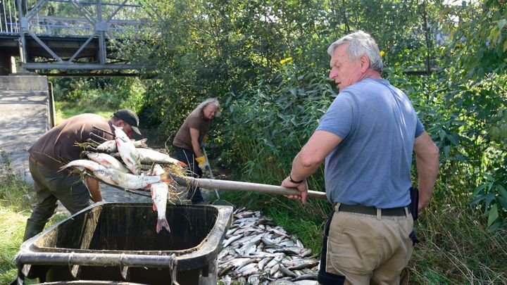 Ryby jako sebevrazi vystřelovaly na břeh, popsali před soudem rybáři otravu Bečvy; Zdroj foto: ČTK