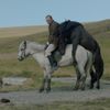 O koních a lidech