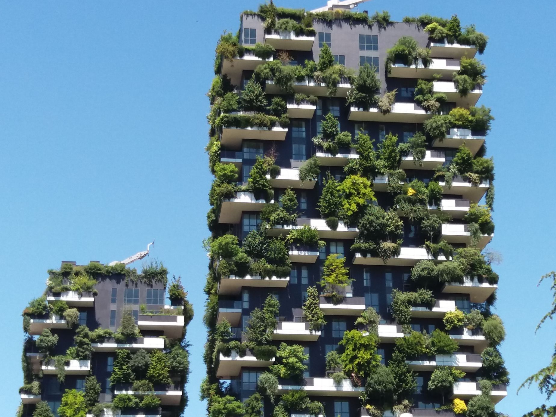 Bosco Verticale