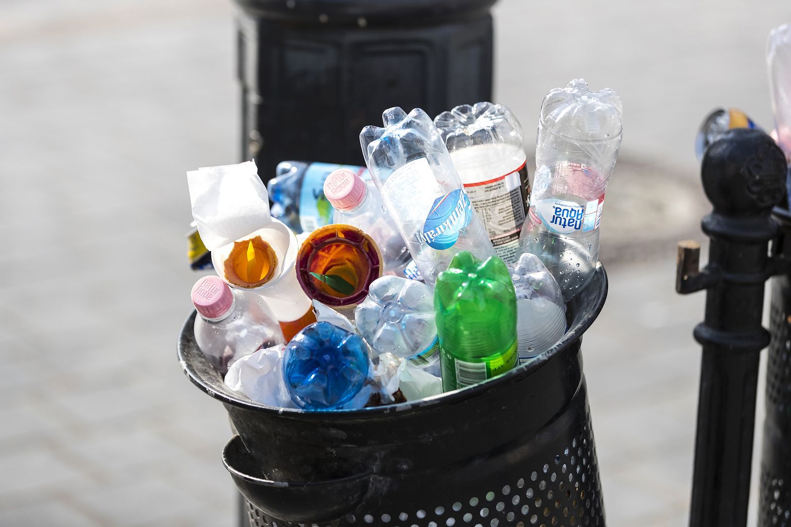 Ilustrační snímek / PET láhev / Přeplněný koš / Odpad / Recyklace / Ekologie / Plasty / Shutterstock
