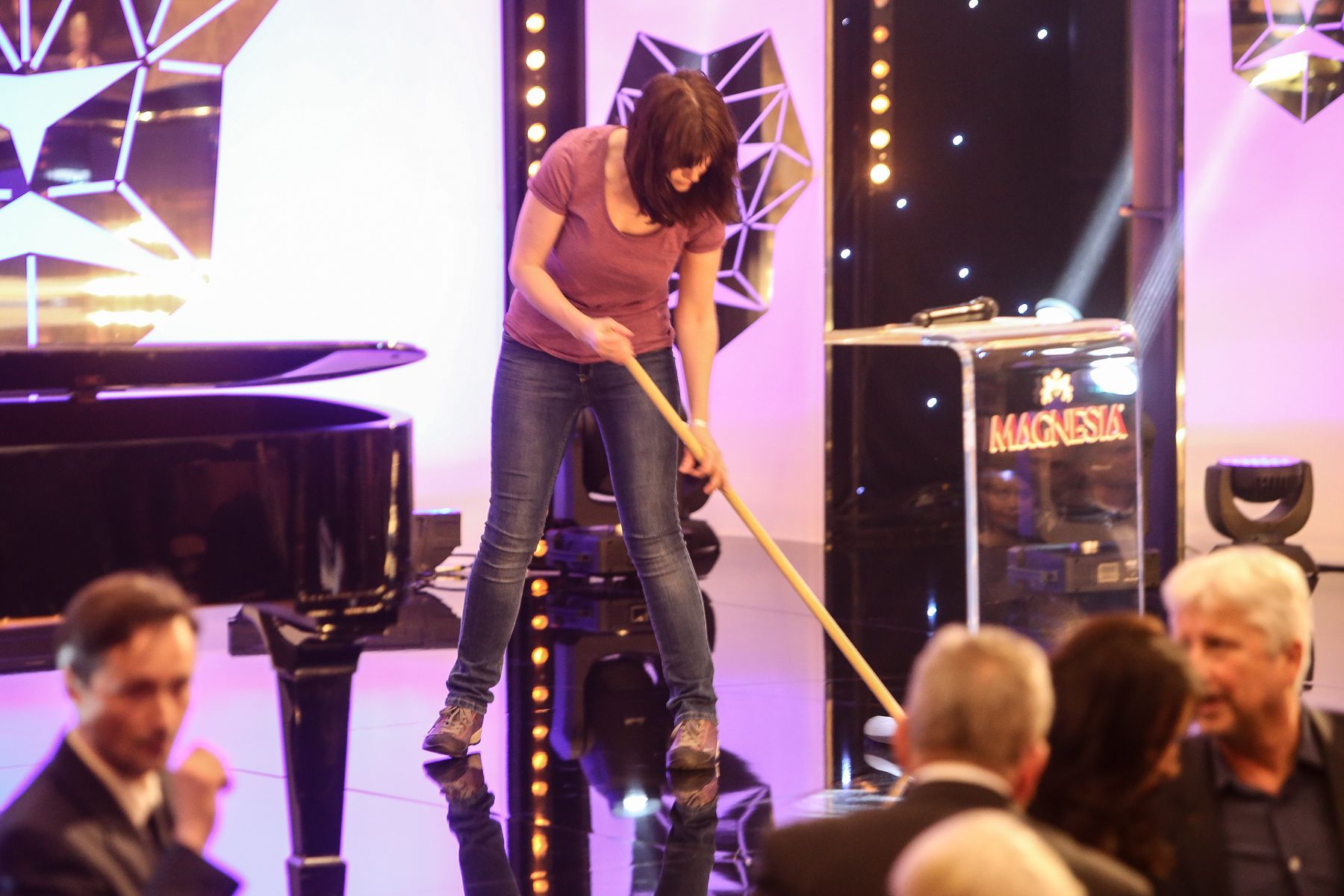 Český lev 2017 - finální editované foto