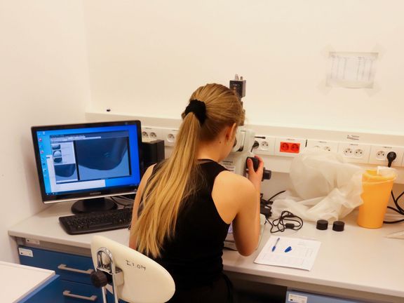 Lásku k vědě objevila Tereza hned v prvním ročníku na gymnáziu při první hodině biologie.