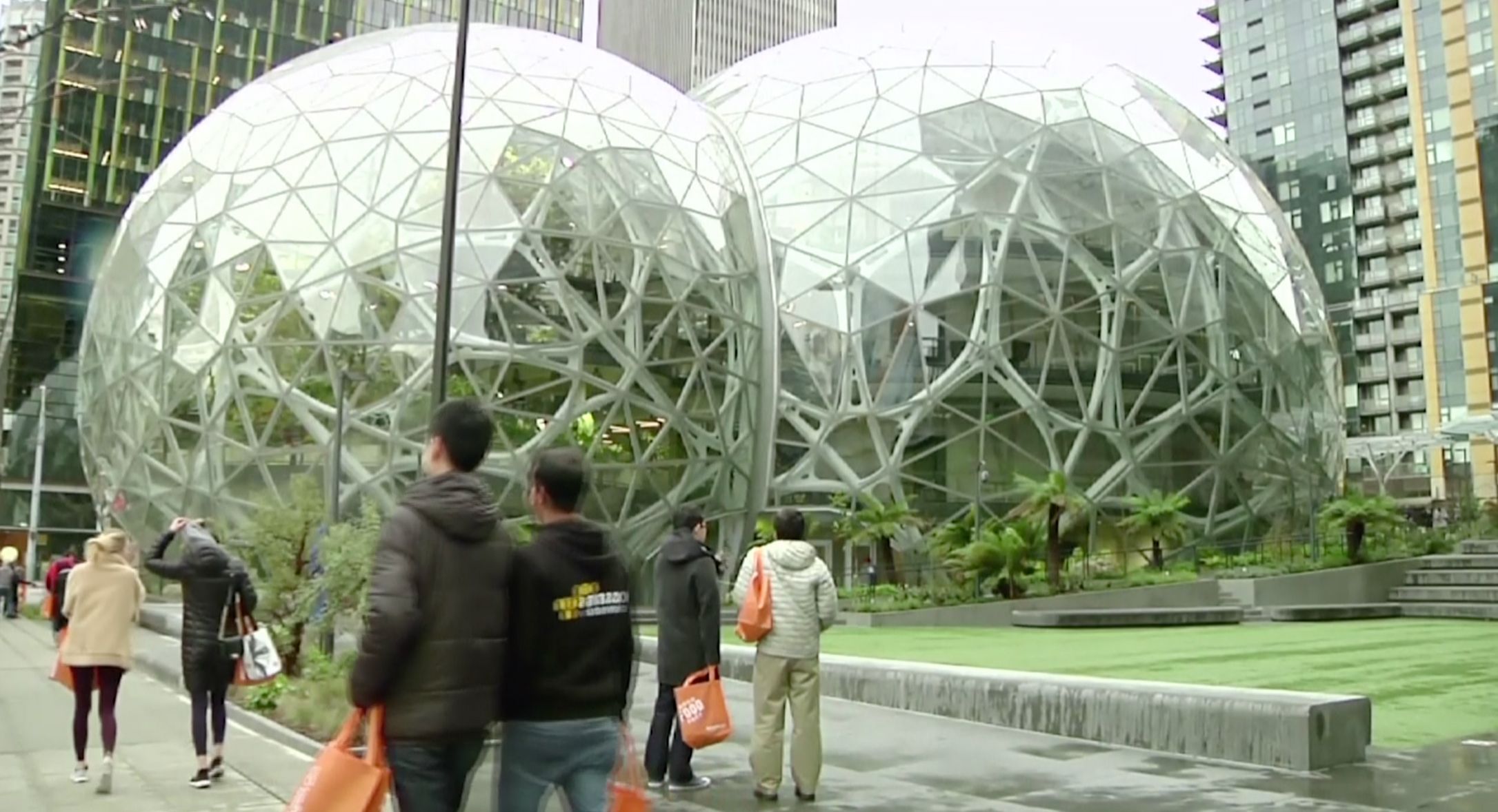 Amazon pro své zaměstnance v Seattlu vybudoval skleník s pralesem
