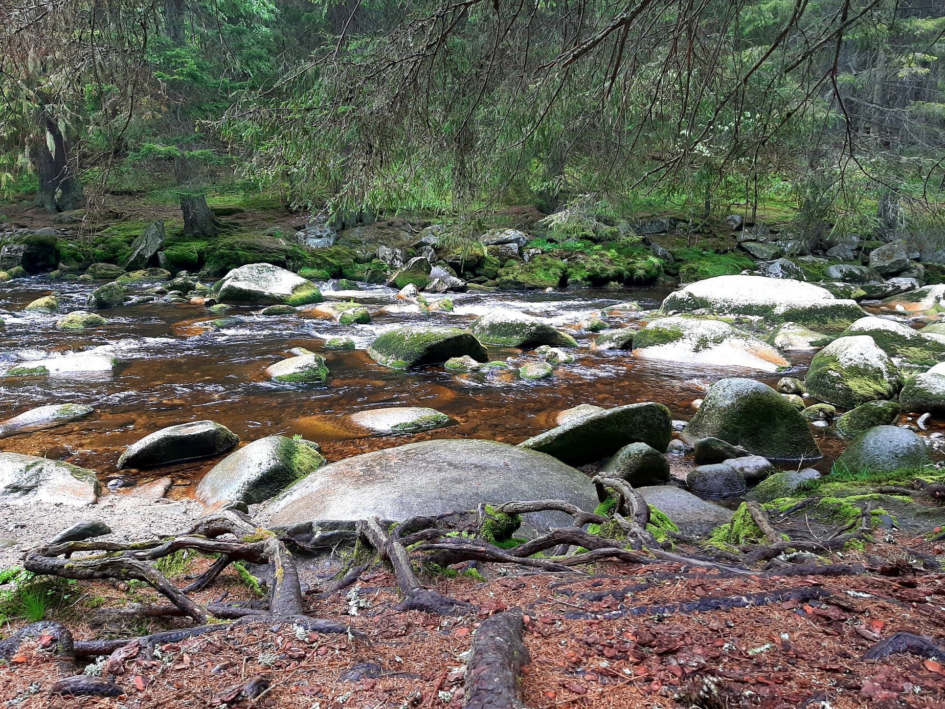 Povydří