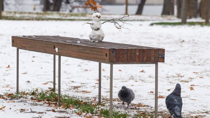 Pátek a sobota budou nejchladnější dny týdne, v noci s mrazem. Pak se zase oteplí