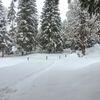 Sněžnice v Saalbachu