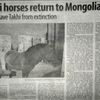 Mongolské noviny o návratu koní Převalského