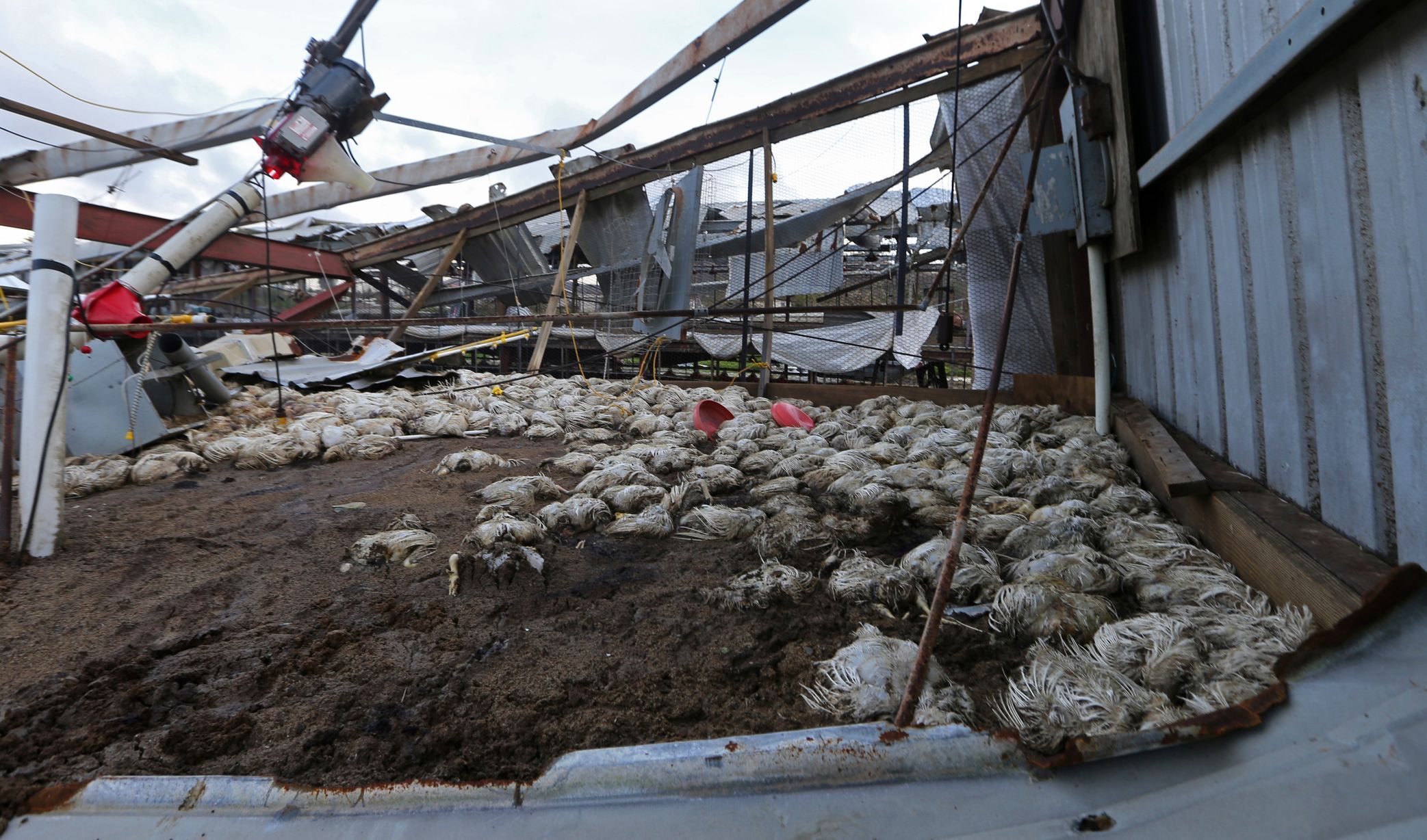 Hurikán Maria se prohnal Portorikem. Na severním pobřeží už oznámili, že smršť zničila 80 procent staveb.