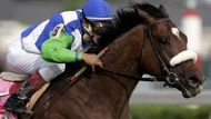 Barbaro s žokejem Edgarem Pradem v sedle vyhrál 132. ročník Kentucky Derby.