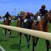 Horse Racing Manager 2