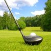 Sodexho, den jak sen, dárek, golf