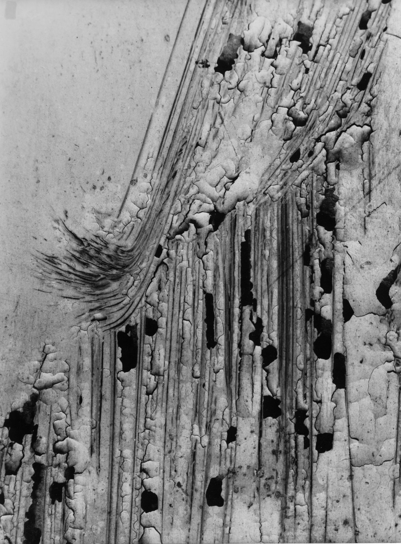 Výstava: Vilém Reichmann. Každá věc je počátkem básně, Vilém Reichmann, fotograf, výstava, Brno, Foto, Magazín