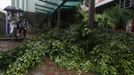 Pedestrians pass by a tree felled by Typhoon Vicente in Hong Kong July 24, 2012. REUTERS/Bobby Yip (CHINA - Tags: ENVIRONMENT DISASTER) Published: Čec. 24, 2012, 1:27 dop.