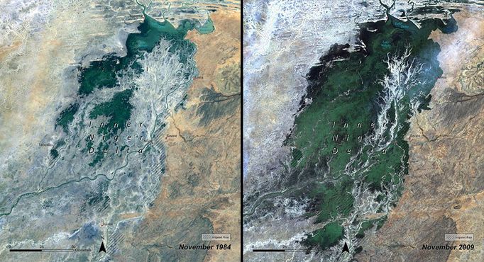 http://climate.nasa.gov/state_of_flux#Wetlandchanges_Nigeria.jpg Wetland changes, Nigeria Left: November 1984. Right: November 2009. The Inner Niger Delta is the largest wetland in Western Africa. It spreads out along a flat 200-kilometer (124-mile) stretch of the Niger River as it passes through the Sahel on its way to the southern edges of the Sahara Desert. The delta supports about one million people and a variety of ecosystem goods and services, including a productive fishery, pasture for sheep and cattle, land and water for agriculture and habitat for natural flora and fauna. The flooding that replenishes the wetland depends mainly on rainfall over the upper Niger River in the Guinean Highlands, and to a lesser extent in the Bani watershed in northern Cote d'Ivoire. Rainfall over the delta itself contributes only 5 to 10 percent of the delta's water. The 1984 image was taken during a prolonged drought, while the 2009 image follows a year of more normal precipitation. Source: United Nations Environment Programme (UNEP). From Africa Water Atlas (2010); Division of Early Warning and Assessment (DEWA), UNEP, Nairobi, Kenya.