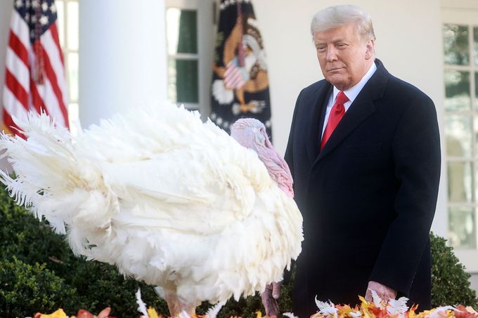 Donald Trump s krocanem během americké tradice ke Dni díkůvzdání.