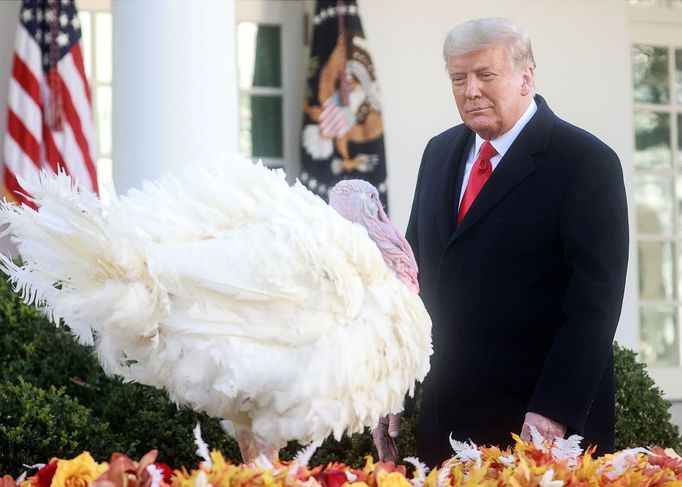 Donald Trump s krocanem během americké tradice ke Dni díkůvzdání.