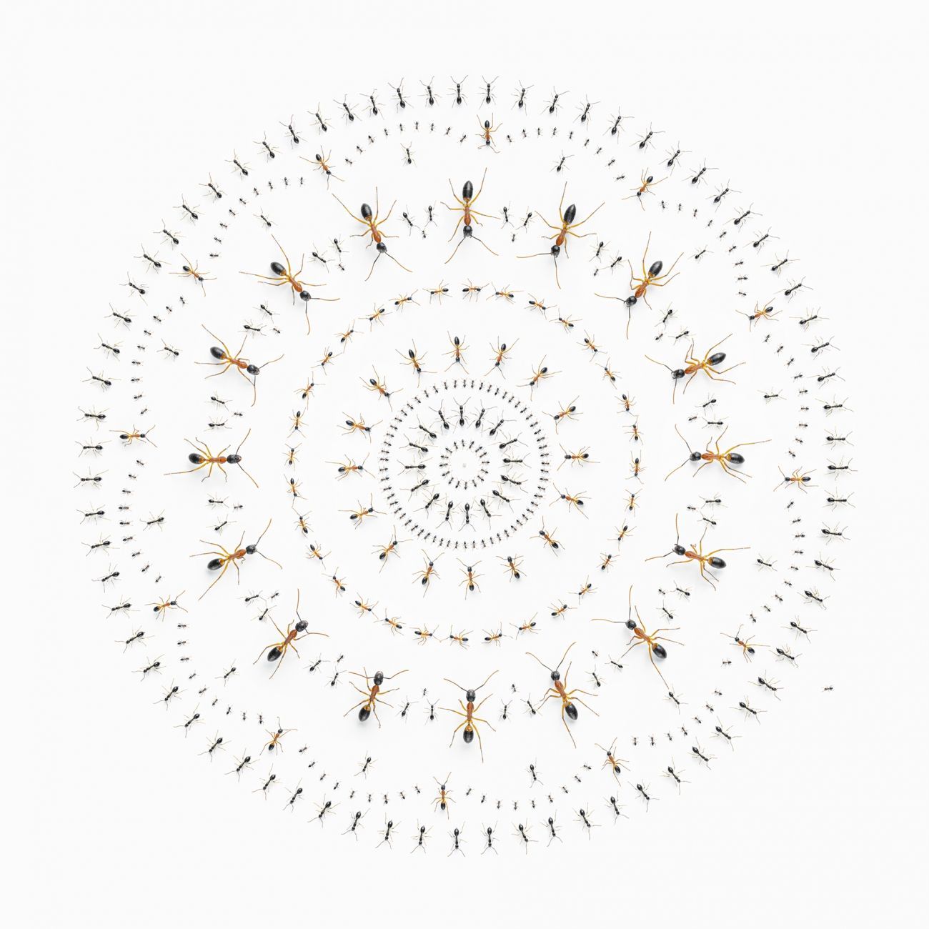 Vítězné fotografie ze soutěže Creative Photo Awards 2022