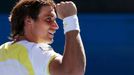 Australian Open: David Ferrer