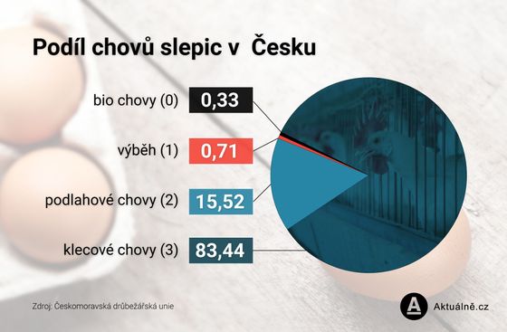Podíl chovů slepic v Česku.