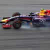 Red Bull Formula One driver Ricciardo of Australia drives during the first practice session of the Malaysian F1 Grand Prix at Sepang International Circuit outside Kuala Lumpur