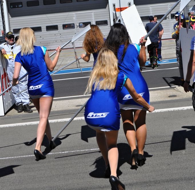 Grid girls na závodě ME tahačů na Nürburgringu