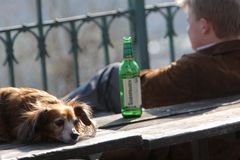 Počasí bylo jako minule. A volit přišlo stejně lidí