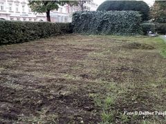 Trávník po podzimní vertikutaci