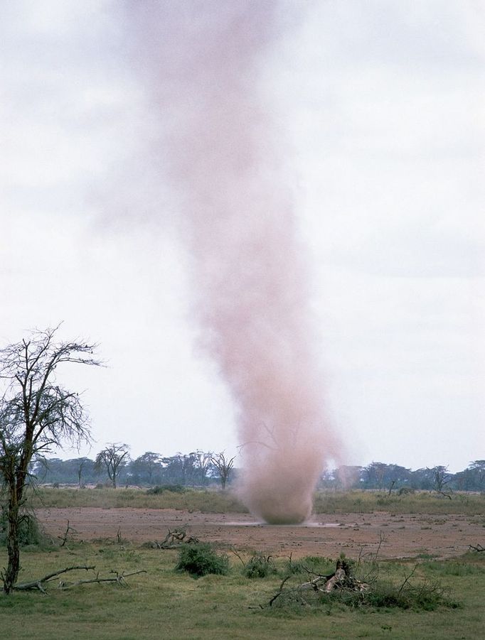 Dust Devil in Kenyan National Park A dust devil, the result of soil erosion, blows, Amboseli National Park, Kenya.