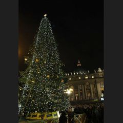 Vánoční strom - Vatikán